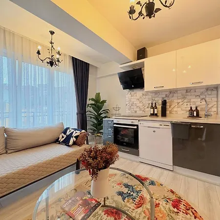 Bright Modern 2br In Kathane Istanbul